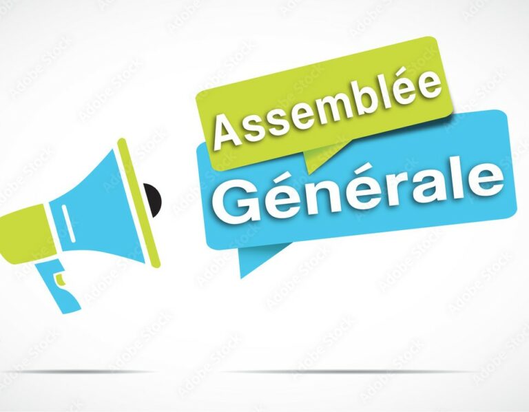 Assemblée générale de la section